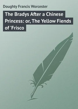 Francis Doughty The Bradys After a Chinese Princess: or, The Yellow Fiends of 'Frisco обложка книги