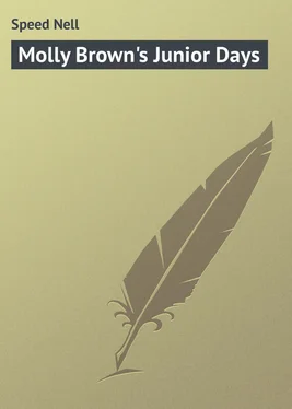 Nell Speed Molly Brown's Junior Days обложка книги