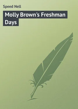 Nell Speed Molly Brown's Freshman Days обложка книги