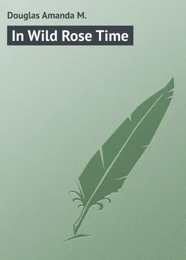 Amanda Douglas In Wild Rose Time обложка книги