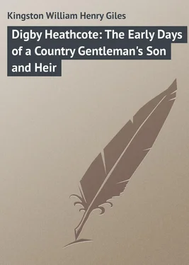 William Kingston Digby Heathcote: The Early Days of a Country Gentleman's Son and Heir обложка книги