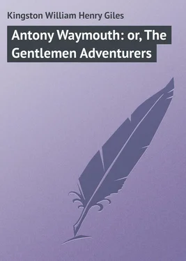 William Kingston Antony Waymouth: or, The Gentlemen Adventurers обложка книги