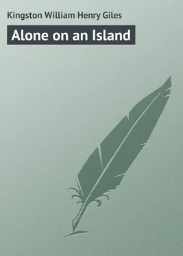 William Kingston Alone on an Island обложка книги