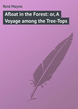 Mayne Reid Afloat in the Forest: or, A Voyage among the Tree-Tops обложка книги