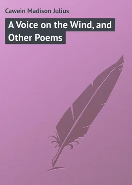 Madison Cawein A Voice on the Wind, and Other Poems обложка книги