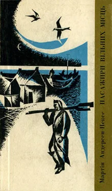 Мартін Андерсен-Нексе Подорож Ан-Марі обложка книги