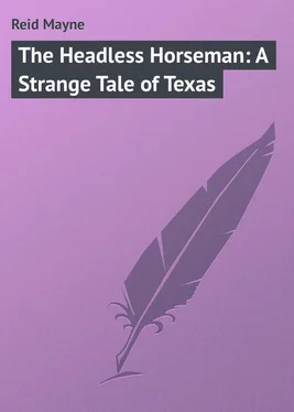 Mayne Reid The Headless Horseman: A Strange Tale of Texas обложка книги