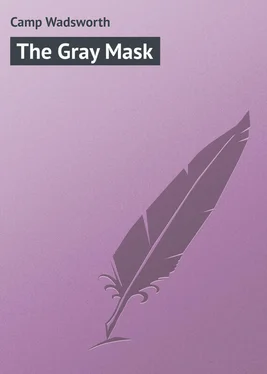 Wadsworth Camp The Gray Mask обложка книги