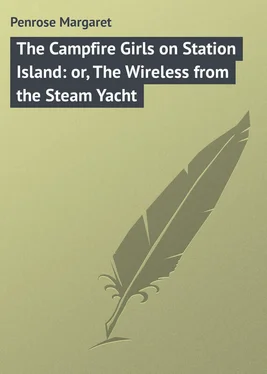 Margaret Penrose The Campfire Girls on Station Island: or, The Wireless from the Steam Yacht обложка книги