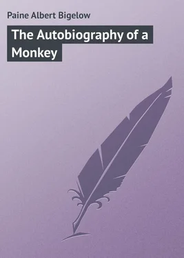 Albert Paine The Autobiography of a Monkey обложка книги