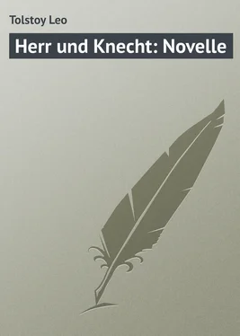 Leo Tolstoy Herr und Knecht: Novelle обложка книги