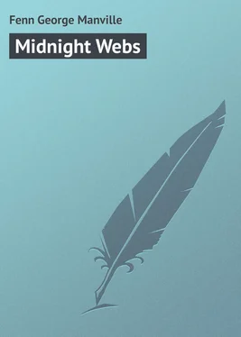 George Fenn Midnight Webs обложка книги