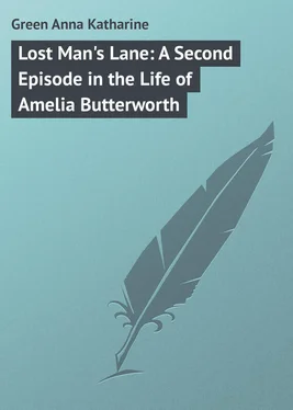 Anna Green Lost Man's Lane: A Second Episode in the Life of Amelia Butterworth обложка книги