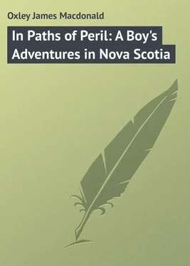 James Oxley In Paths of Peril: A Boy's Adventures in Nova Scotia обложка книги