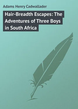 Henry Adams Hair-Breadth Escapes: The Adventures of Three Boys in South Africa обложка книги