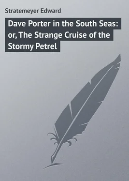 Edward Stratemeyer Dave Porter in the South Seas: or, The Strange Cruise of the Stormy Petrel обложка книги