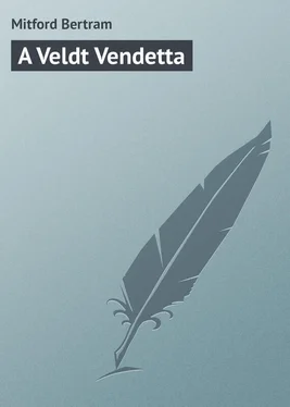 Bertram Mitford A Veldt Vendetta обложка книги