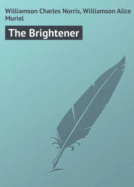 Alice Williamson The Brightener обложка книги
