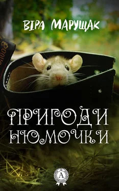 Віра Марущак Пригоди Нюмочки обложка книги