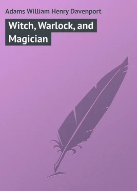 William Adams Witch, Warlock, and Magician обложка книги