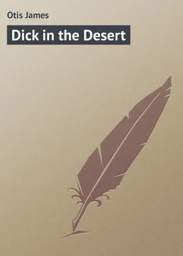 James Otis Dick in the Desert
