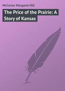 Margaret McCarter The Price of the Prairie: A Story of Kansas обложка книги