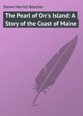 Harriet Stowe The Pearl of Orr's Island: A Story of the Coast of Maine обложка книги