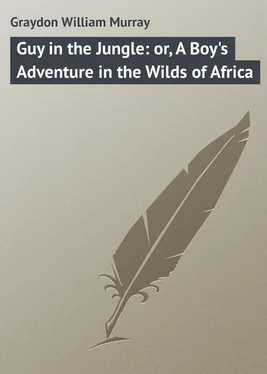 William Graydon Guy in the Jungle: or, A Boy's Adventure in the Wilds of Africa обложка книги