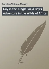 William Graydon - Guy in the Jungle - or, A Boy's Adventure in the Wilds of Africa