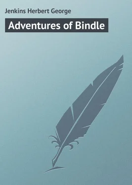 Herbert Jenkins Adventures of Bindle обложка книги