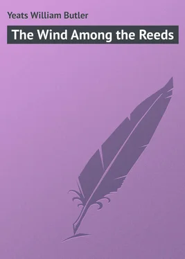 William Yeats The Wind Among the Reeds обложка книги