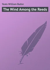 William Yeats - The Wind Among the Reeds