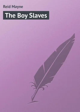 Mayne Reid The Boy Slaves обложка книги