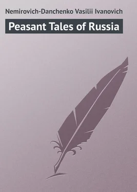 Vasilii Nemirovich-Danchenko Peasant Tales of Russia обложка книги