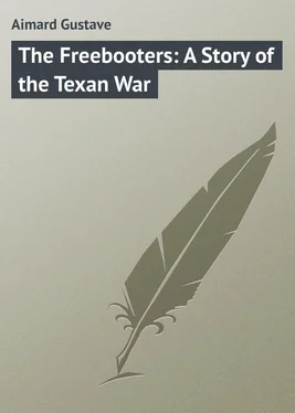 Gustave Aimard The Freebooters: A Story of the Texan War обложка книги
