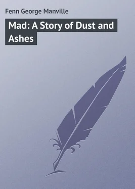 George Fenn Mad: A Story of Dust and Ashes обложка книги