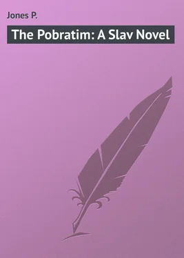 P. Jones The Pobratim: A Slav Novel обложка книги