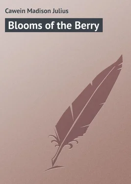 Madison Cawein Blooms of the Berry обложка книги