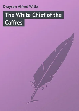Alfred Drayson The White Chief of the Caffres обложка книги