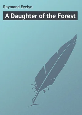 Evelyn Raymond A Daughter of the Forest обложка книги