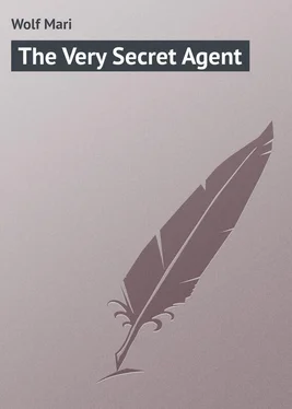 Mari Wolf The Very Secret Agent обложка книги