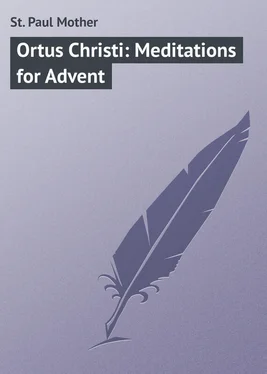 Mother St. Paul Ortus Christi: Meditations for Advent обложка книги