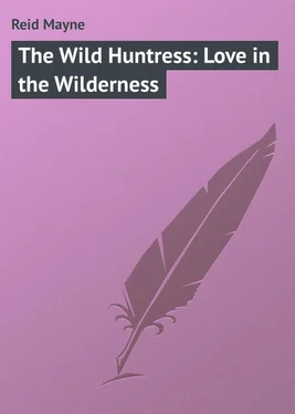 Mayne Reid The Wild Huntress: Love in the Wilderness обложка книги