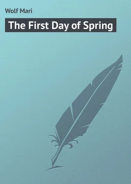 Mari Wolf The First Day of Spring обложка книги