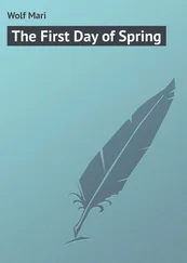 Mari Wolf - The First Day of Spring