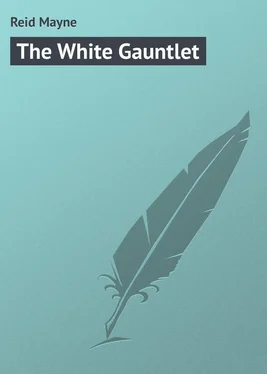 Mayne Reid The White Gauntlet обложка книги
