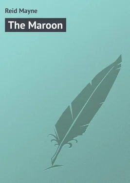 Mayne Reid The Maroon обложка книги