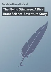 Harold Goodwin - The Flying Stingaree - A Rick Brant Science-Adventure Story