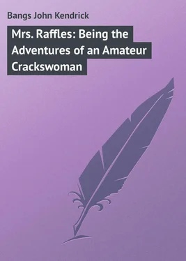John Bangs Mrs. Raffles: Being the Adventures of an Amateur Crackswoman обложка книги
