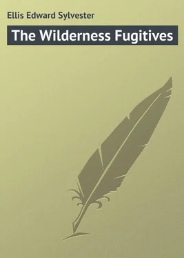 Edward Ellis The Wilderness Fugitives обложка книги